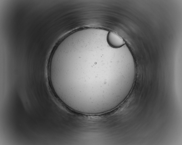 X0000088650848200705251500
