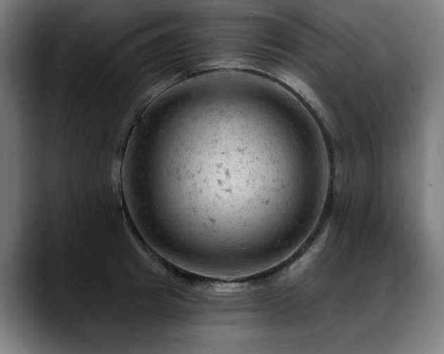 X0000088650849200705251500