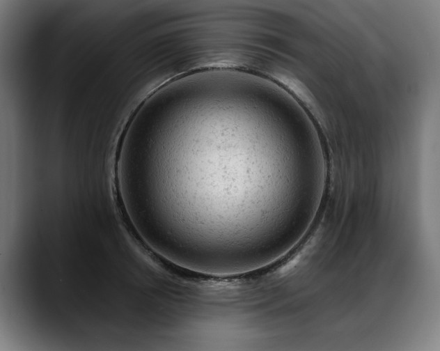 X0000088650850200705251500