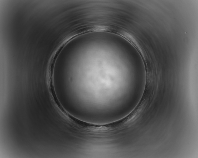 X0000088650851200705251500