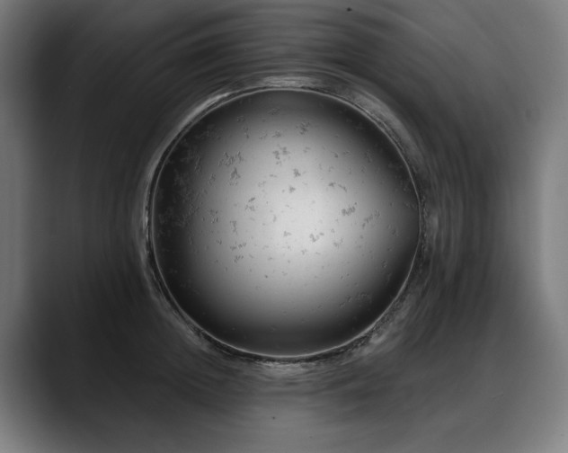 X0000088650852200705251500