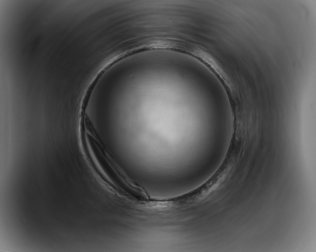 X0000088650853200705251500