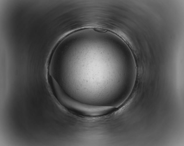 X0000088650854200705251500