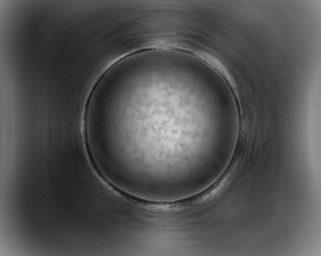 X0000088650855200705251500