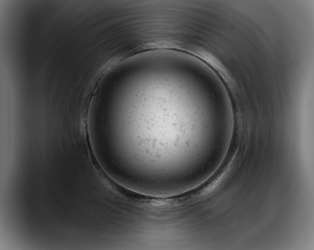X0000088650857200705251500