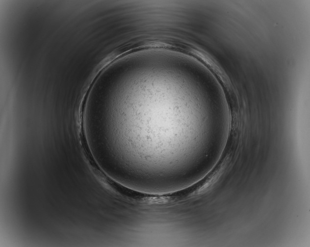 X0000088650858200705251500