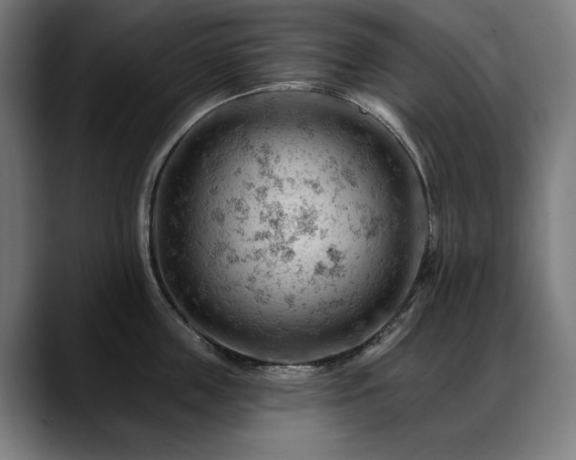 X0000088650859200705251500
