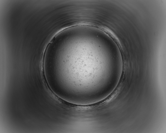 X0000088650860200705251500