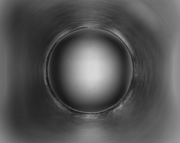 X0000088650861200705251500
