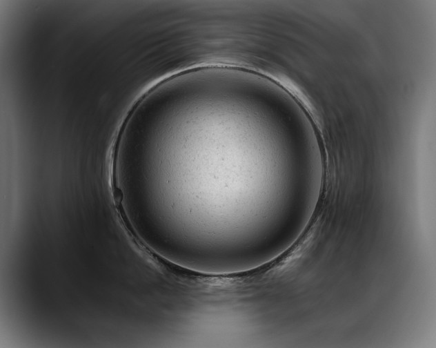 X0000088650862200705251500