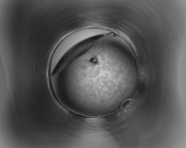 X0000088650863200705251500