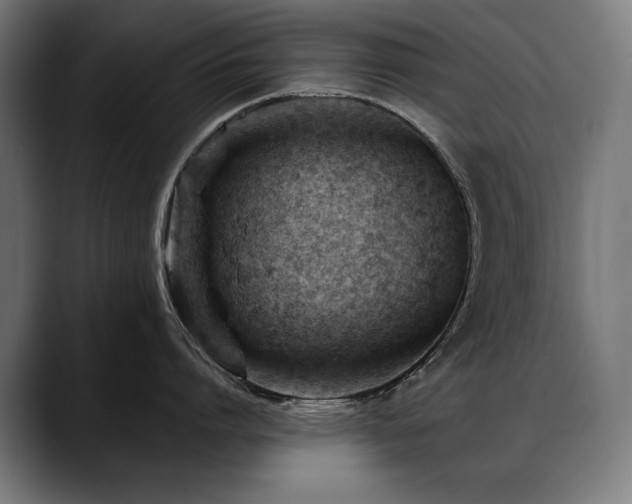 X0000088650864200705251500