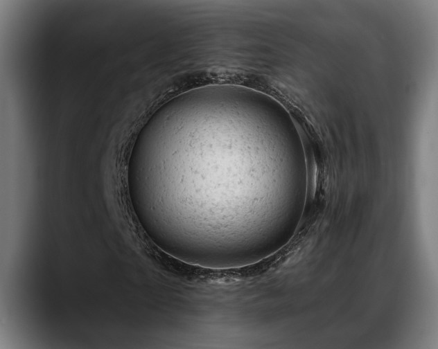 X0000088650865200705251500