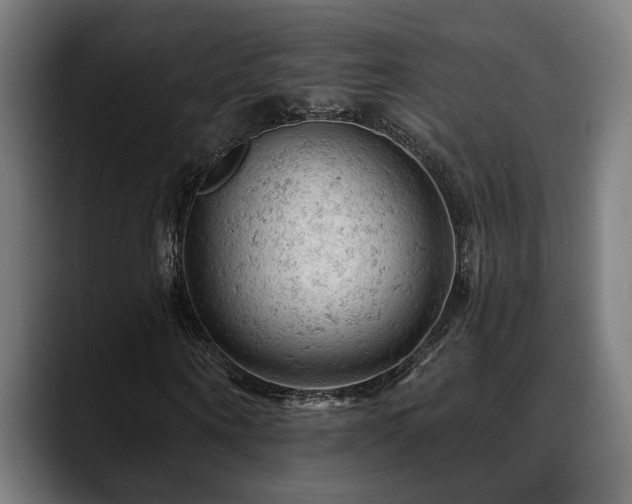 X0000088650866200705251500