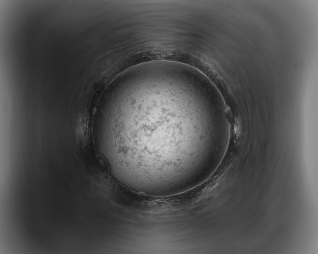 X0000088650867200705251459