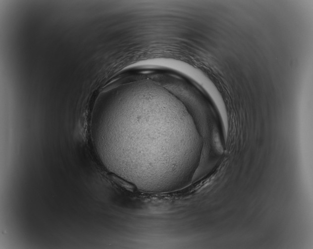 X0000088650868200705251459