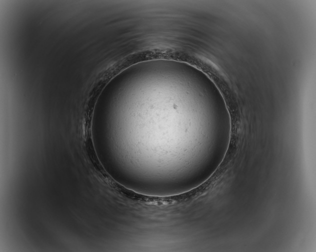 X0000088650869200705251459