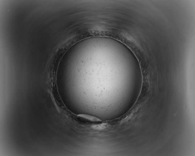 X0000088650870200705251459