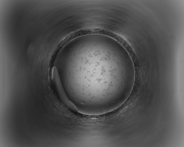 X0000088650871200705251459