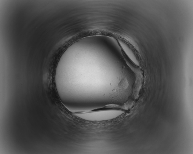 X0000088650872200705251459