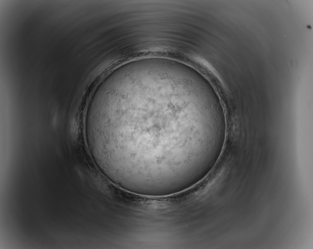 X0000088650874200705251459