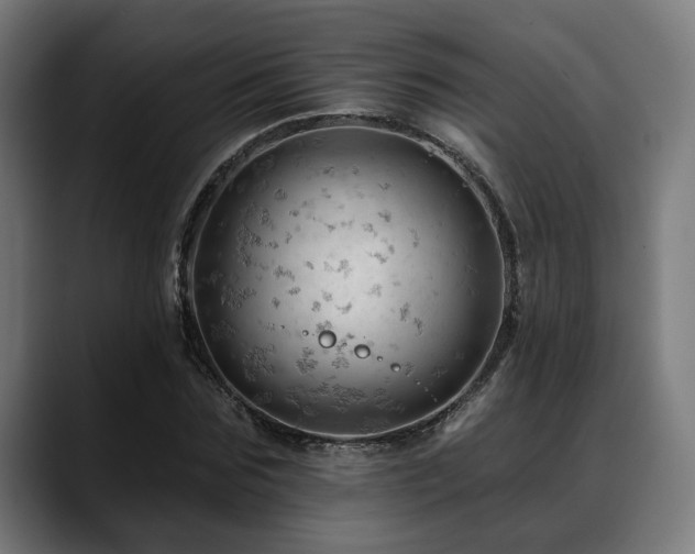 X0000088650875200705251459