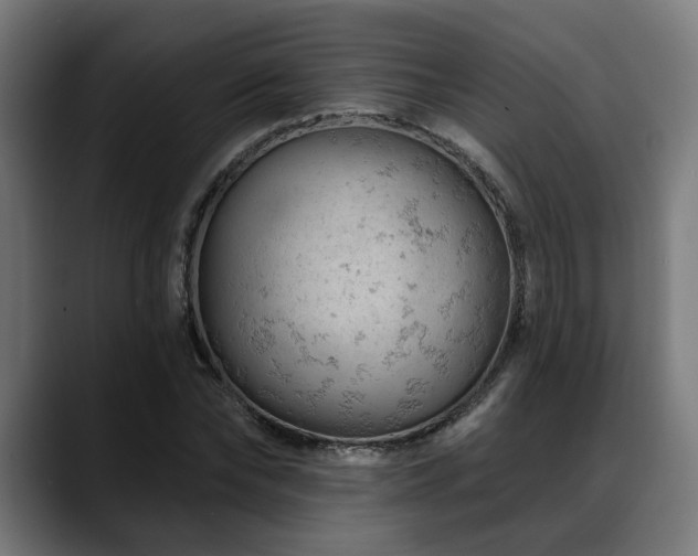 X0000088650878200705251459