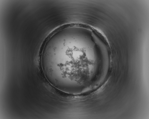 X0000088650879200705251459