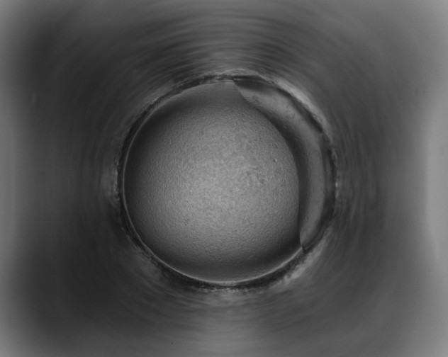 X0000088650881200705251459