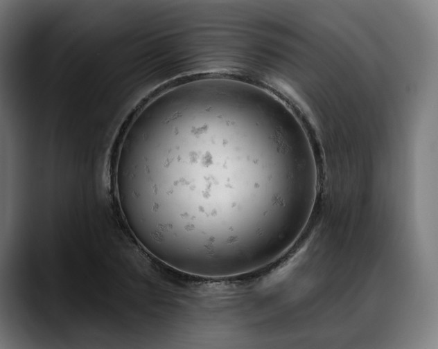 X0000088650883200705251459