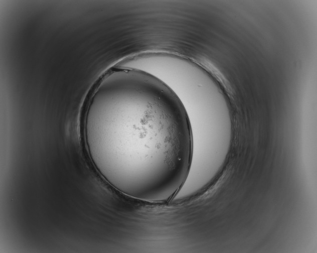 X0000088650884200705251459