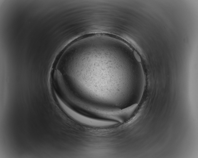 X0000088650885200705251459