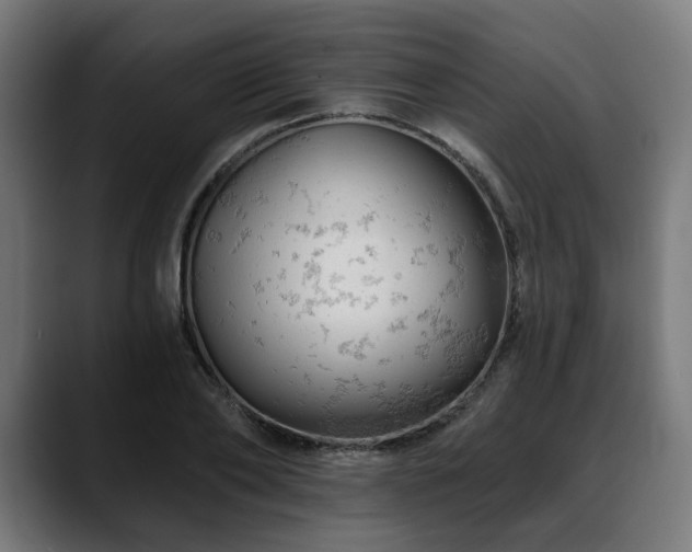 X0000088650886200705251459