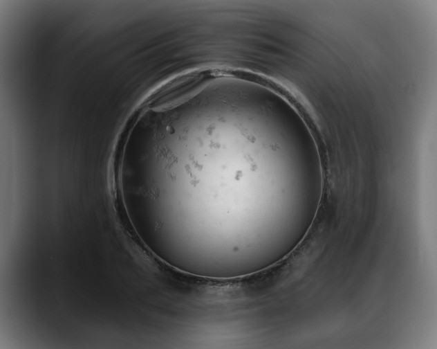 X0000088650887200705251459
