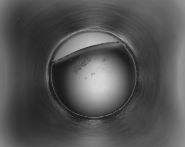 X0000088650888200705251459