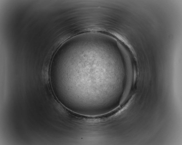 X0000088650889200705251459