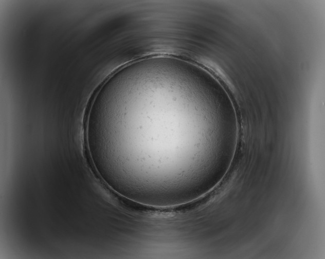 X0000088650890200705251459