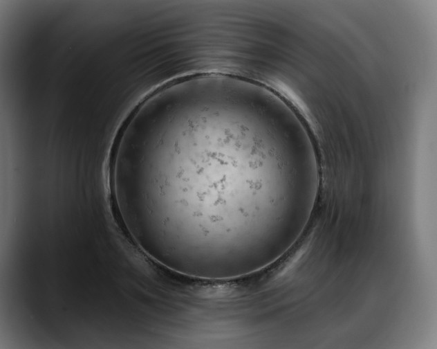 X0000088650891200705251459