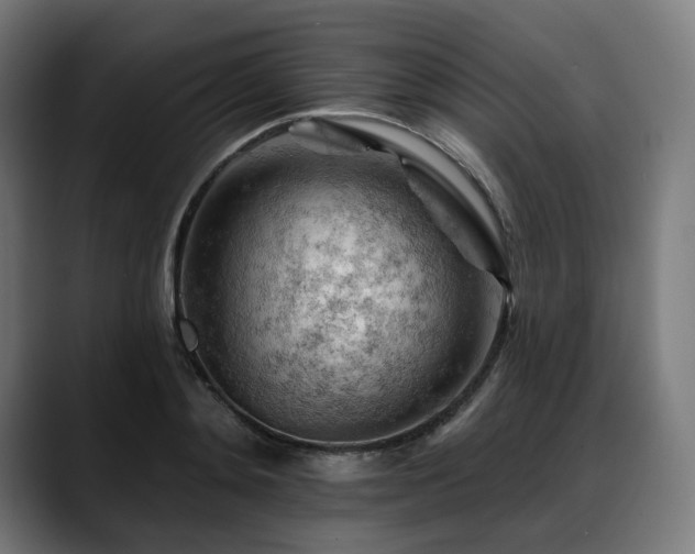 X0000088650892200705251459