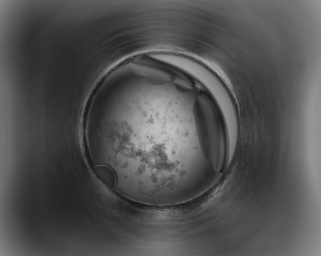X0000088650895200705251459