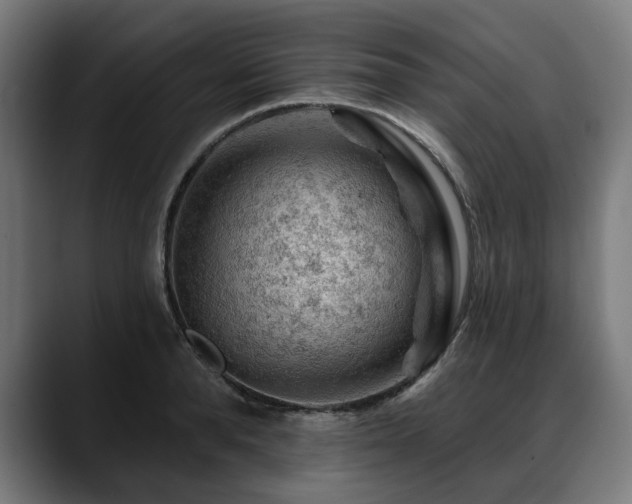 X0000088650896200705251459