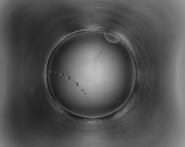 X0000088650899200705251459