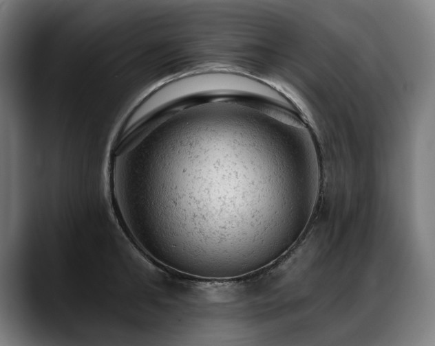 X0000088650902200705251459