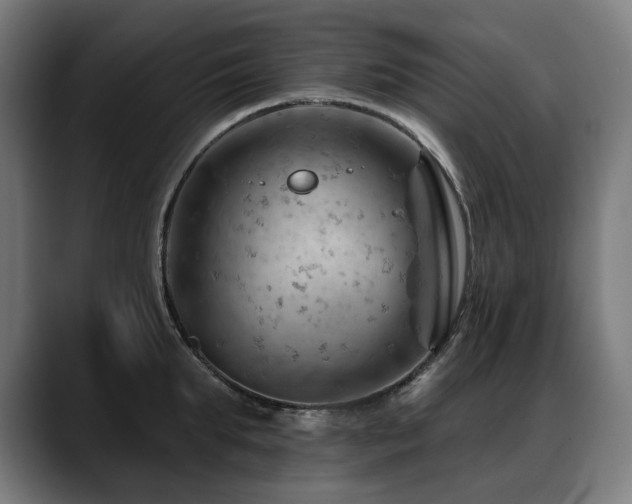 X0000088650903200705251459