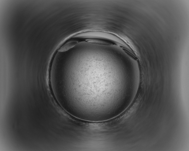 X0000088650904200705251459