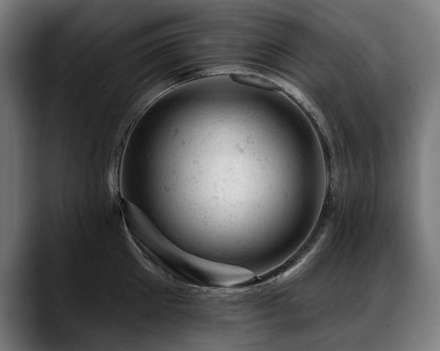 X0000088650905200705251459