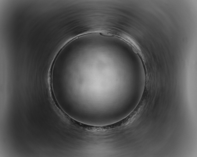 X0000088650907200705251459