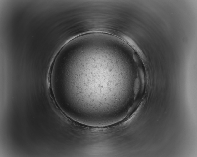 X0000088650908200705251459