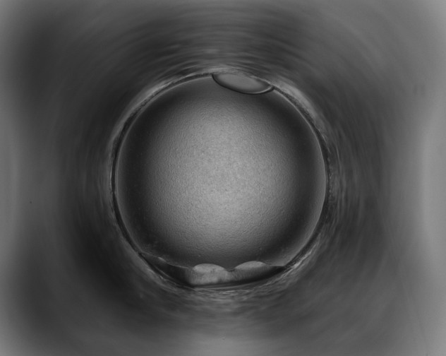 X0000088650910200705251459