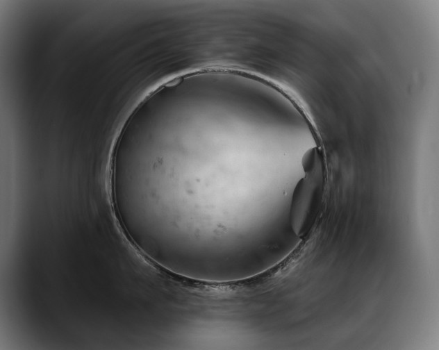 X0000088650911200705251459